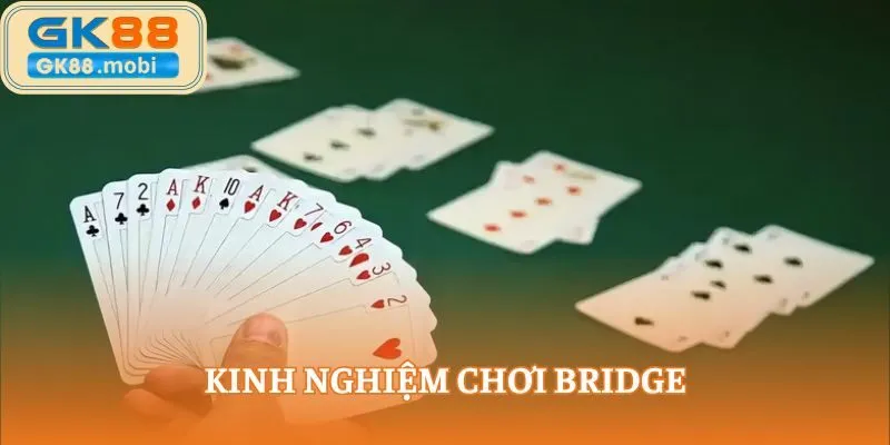 Bạn nên cân nhắc mức giá đấu thầu hợp lý khi chơi Bridge
