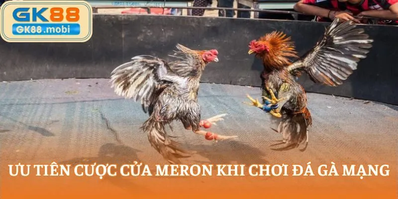 Bạn nên ưu tiên chọn cửa Meron khi chơi đá gà mạng