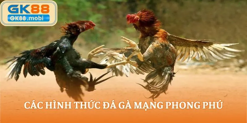 Các hình thức đá gà trên mạng rất phong phú