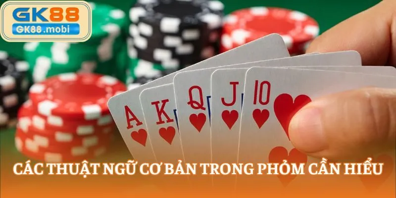 Các thuật ngữ cơ bản trong Phỏm cần hiểu