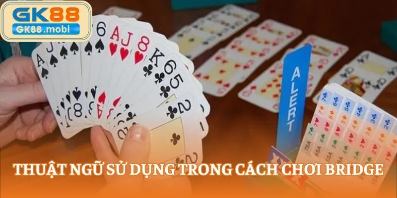 Các thuật ngữ sử dụng trong cách chơi Bridge rất đa dạng