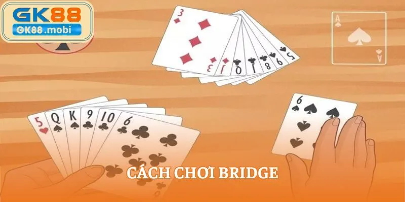 cách chơi Bridge