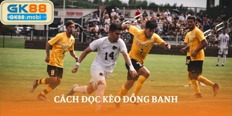 Cách đọc kèo đồng banh