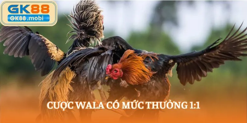 Cược Wala có mức thưởng 1:1