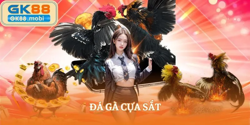 Đá gà cựa sắt