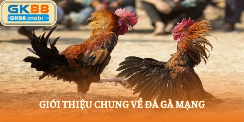 Đá gà mạng là hình thức dự đoán kết quả và đặt cược trực tuyến