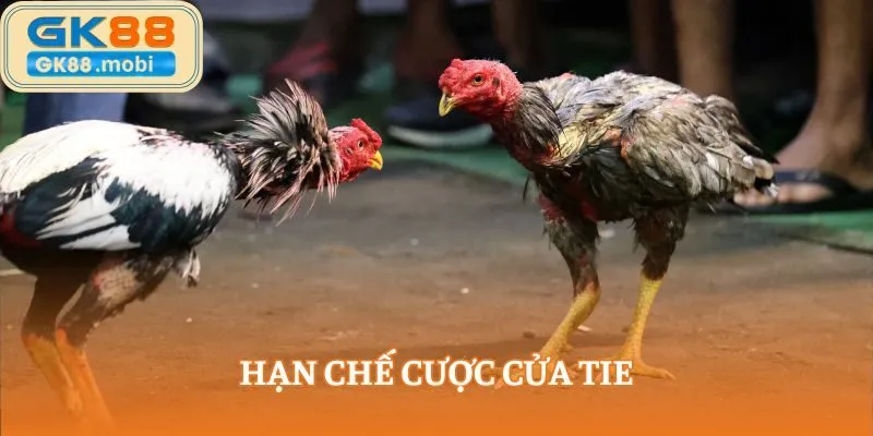 Hạn chế cược cửa Tie