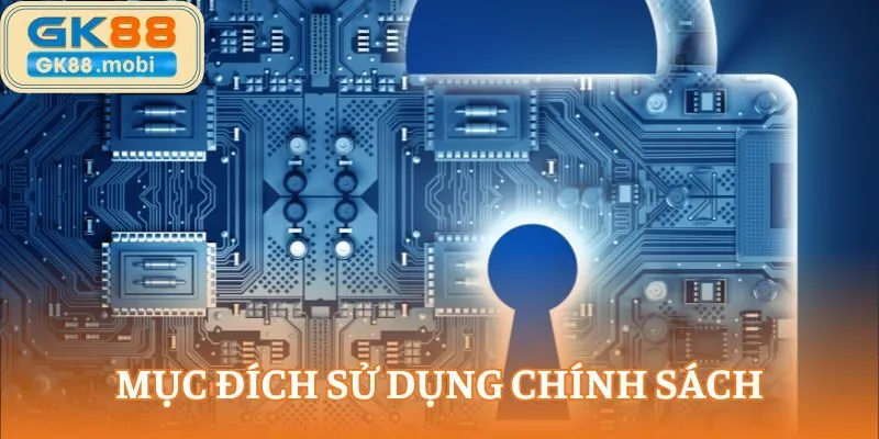 Mục đích sử dụng chính sách