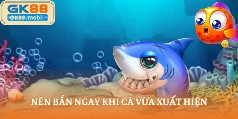Nên bắn ngay khi cá vừa xuất hiện