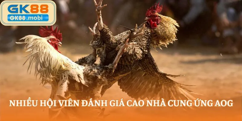 Nhiều hội viên đánh giá cao nhà cung ứng AOG
