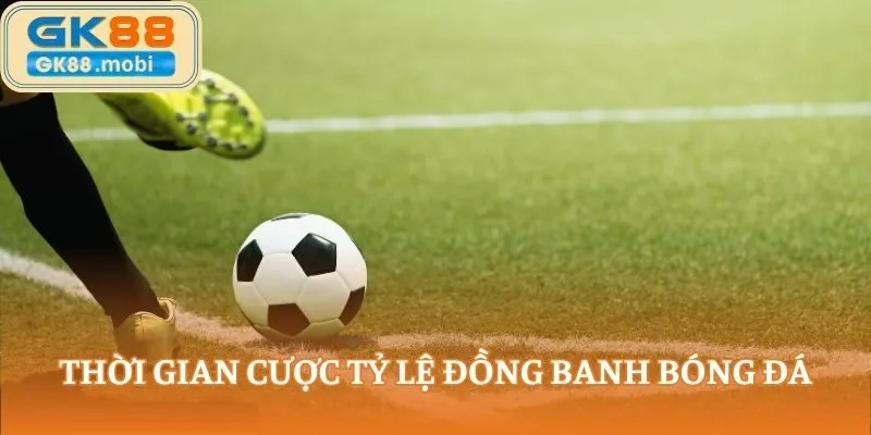Thời gian cược tỷ lệ đồng banh bóng đá