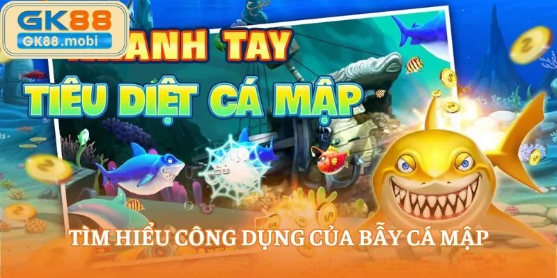 Tìm hiểu công dụng của bẫy cá mập