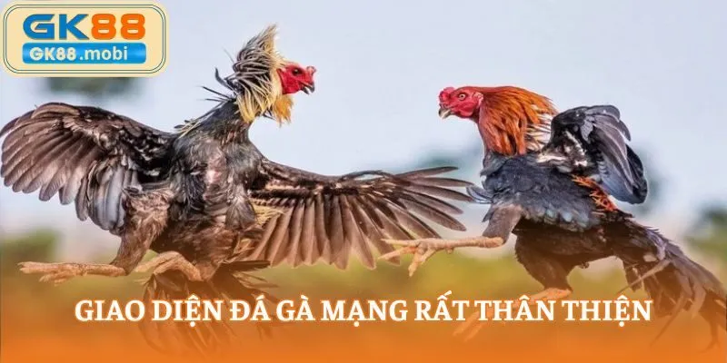 Tìm hiểu đá gà mạng là gì sẽ thấy giao diện trò chơi rất thân thiện