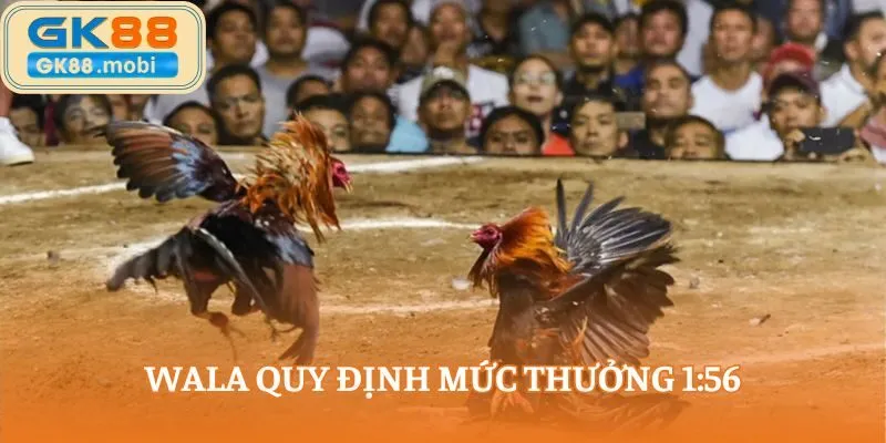 Wala quy định mức thưởng 1:56